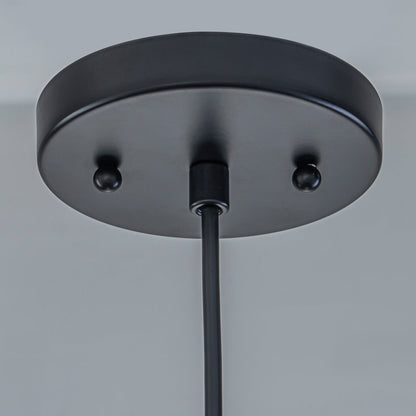 Matte black single pendant