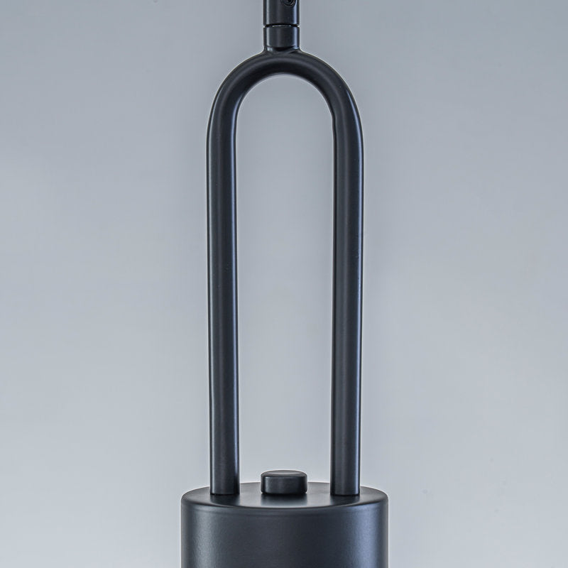 Matte black single pendant